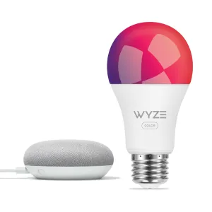 Google Nest Mini   Wyze Bundles