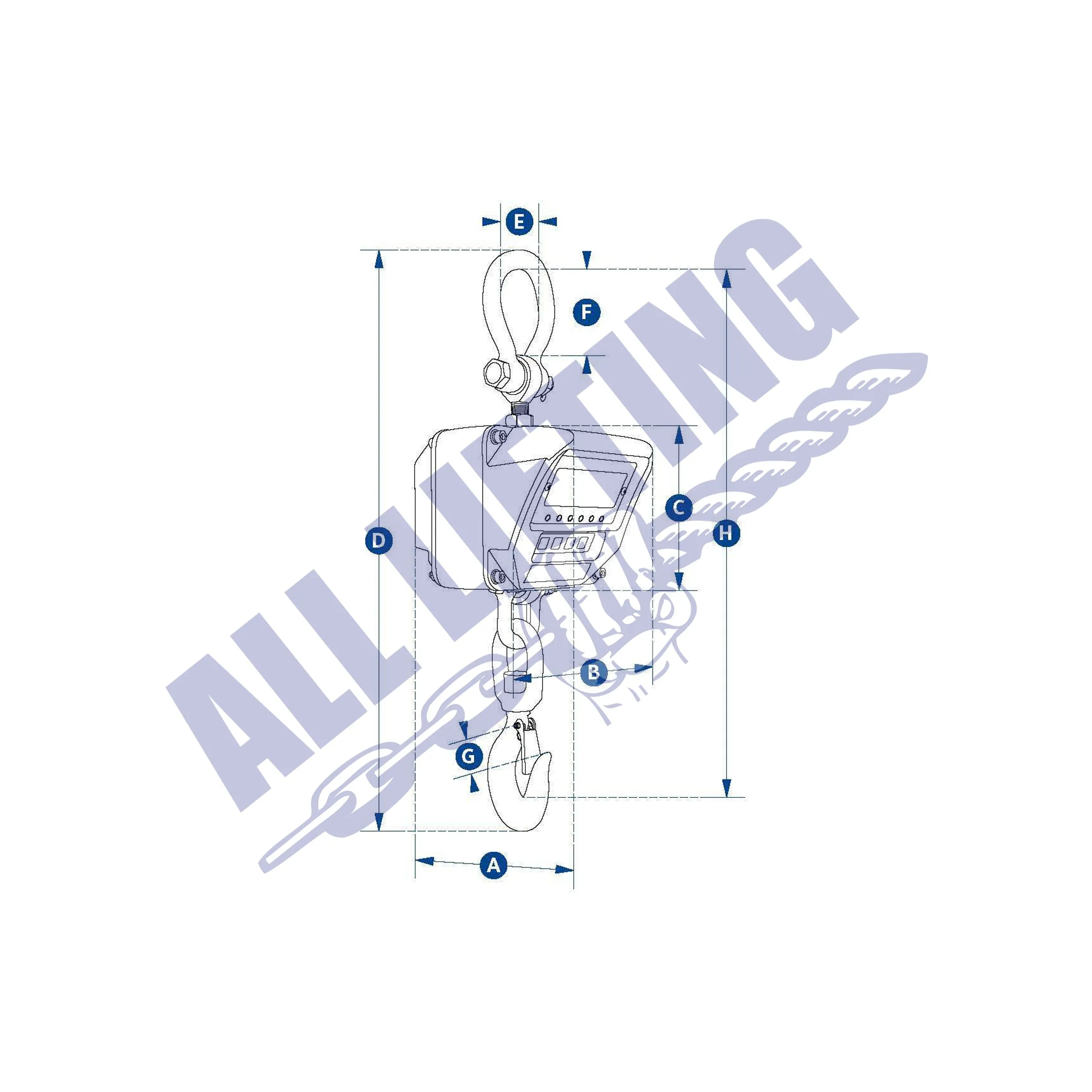 Jumbo Weigher Trade Crane Scale