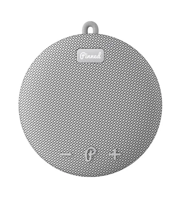 Pinned the Dart 2.0 Speaker