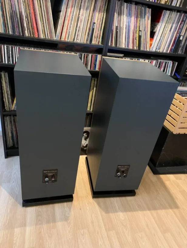 Premium Tobian Sound Systems 12FH High-Performance Full Range Horn Speakers